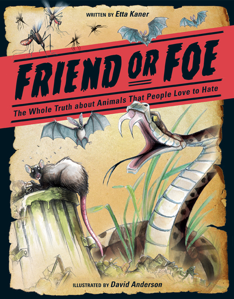 Friend or Foe