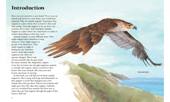 Sample: Animals Migrating